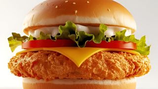 Chicken cheese burger