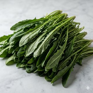 Cicoria