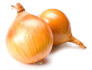 Cipolla 1 kg