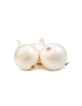 Cipolla bianca Zapponeta 500 g