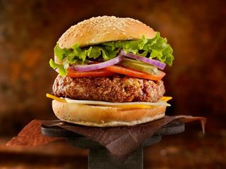 Classic hamburger
