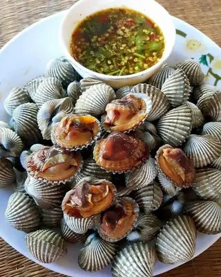 Conchas
