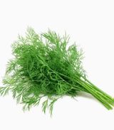 Dill Bundle
