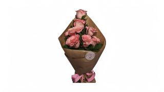 Elegant Pink Rose Cone