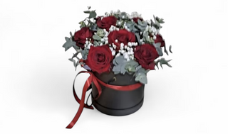 Elegantna kombinacija