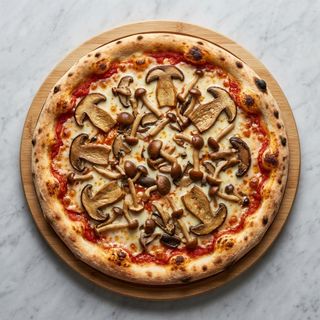 Funghi