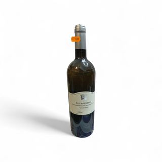 Falanghina