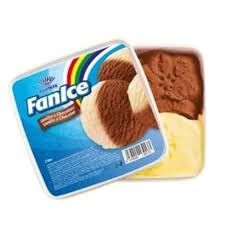 Fanice Double Treat Vanilla & Chocolate Ice Cream, 450Ml