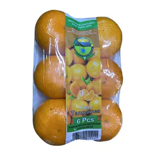 Innovative Tangerine 6 Pieces