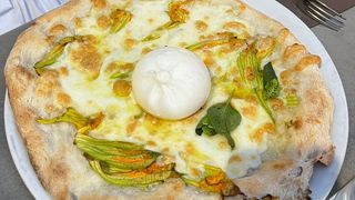 Fiori di zucca