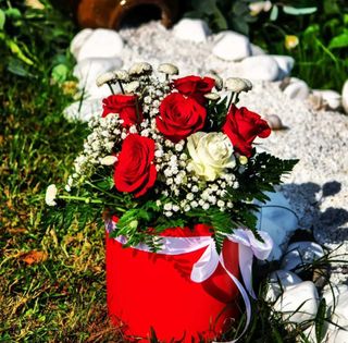 Flower box - bijele i crvene ruže