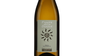 Fonte Delle Donne Fattoria Fibiano