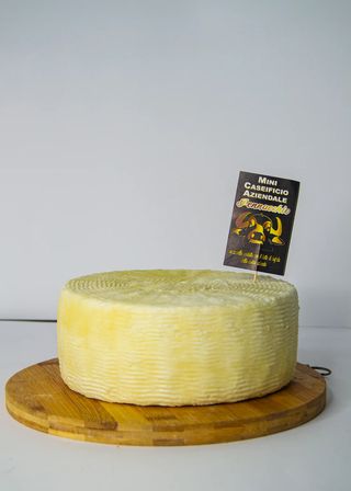 Formaggio primo sale trancio da 500 g