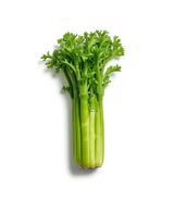 Fresh Celery