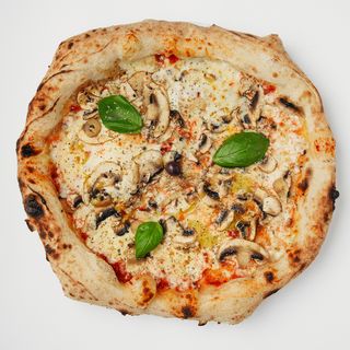 Pizza Funghi