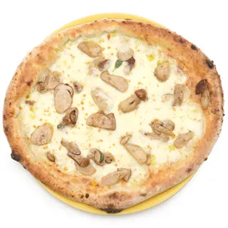 Porcini