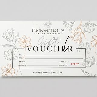 Gift Card / Voucher