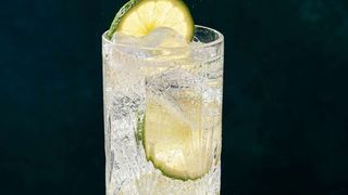 Gin Tonic