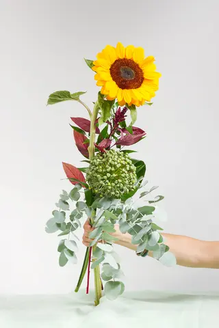 Girasole un pezzo