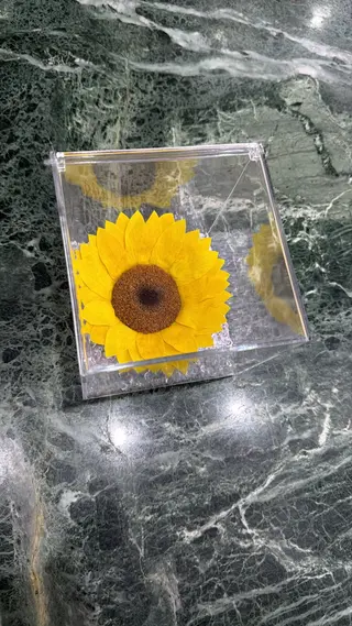 Girasole eterno