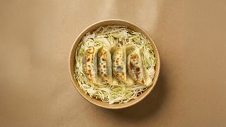 14 - Gyoza vegetable