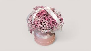 Gypsophila Blossom Box