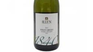 H. Lun 1849 Pinot Grigio