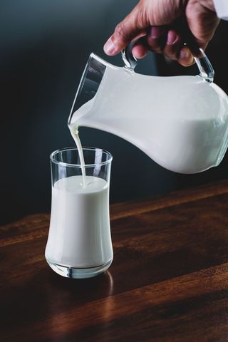 Hot Milk