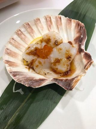 Hotate tataki