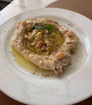Húmus