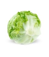Iceberg Lettuce 1 unit