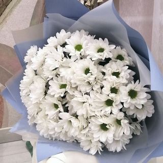 Pure Harmony Chrysanthemums Bouquet