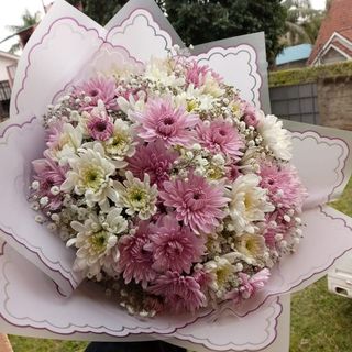 Soft Blush Daisy & Mum Bouquet