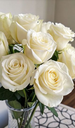 White Roses