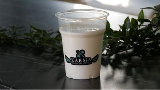 Kefir 0.3l