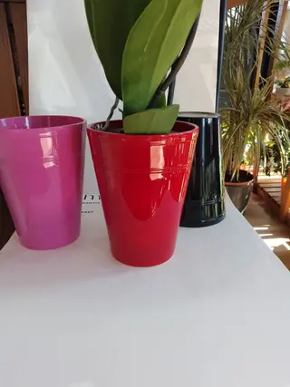 Keramička saksija