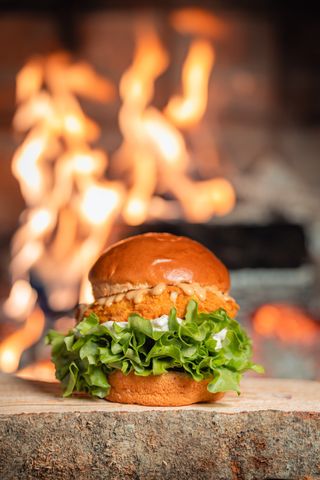 Kokodaburger