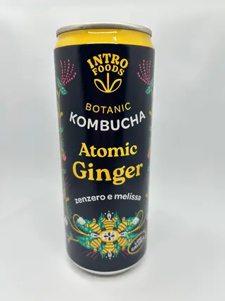 Kombucha intro botanic zenzero e melissa