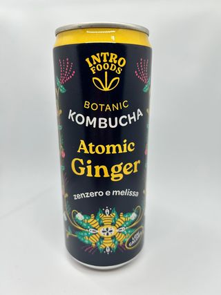 Kombucha intro botanic zenzero e melissa