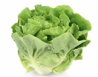 Lattuga 1 kg