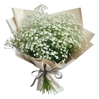 Large Baby's Breath Bouquet