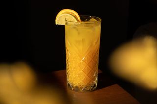 Лимонад тропический (500мл)