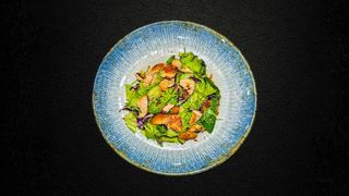 Losos salata