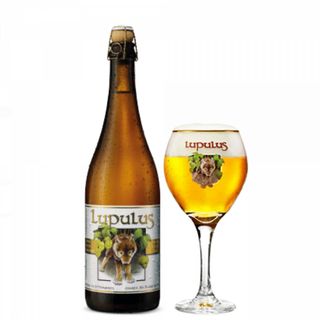 Lupulus blonde