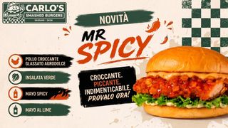 Mr spicy panino single