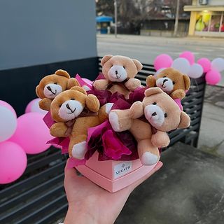 Mini teddy box