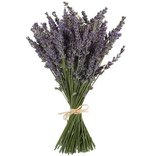 Mazzo di lavanda