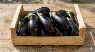 Melanzane 1kg
