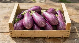 Melanzane 1 kg