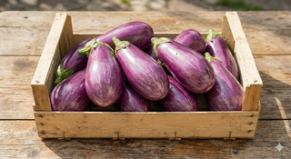 Melanzane viola 1 kg